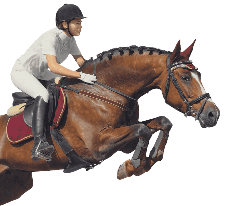 Rousselle Equitation Centre Equestre Aix En Provence Centre Equestre A Fuveau
