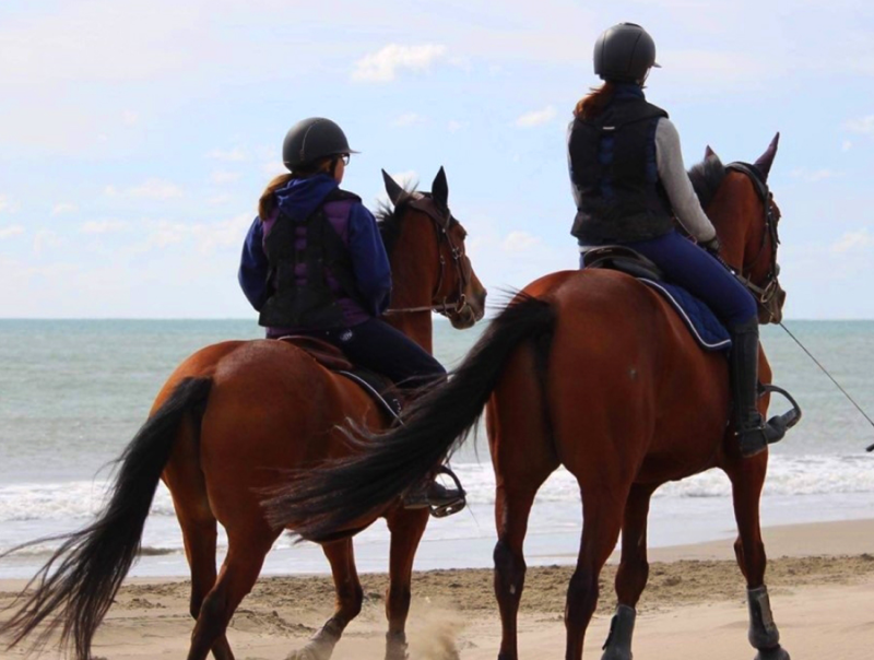 Rousselle Equitation Centre Equestre Aix En Provence Randonnee 7